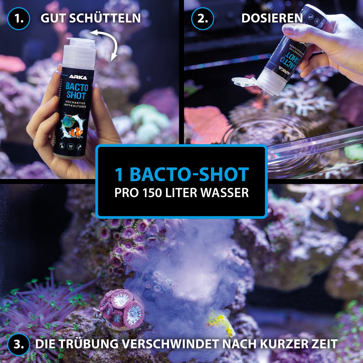 ARKA Bacto Shot hochaktive Bakterienkulturen