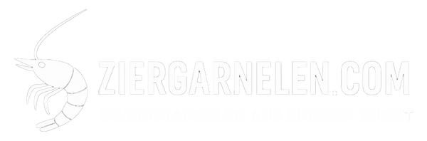 ziergarnelen.com