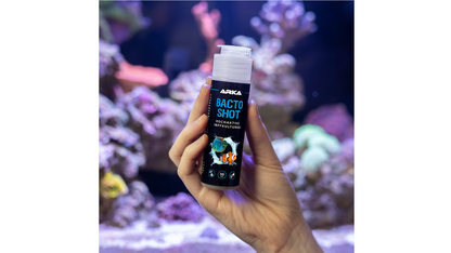 Bacto Shot Wasserbiologie optimieren
