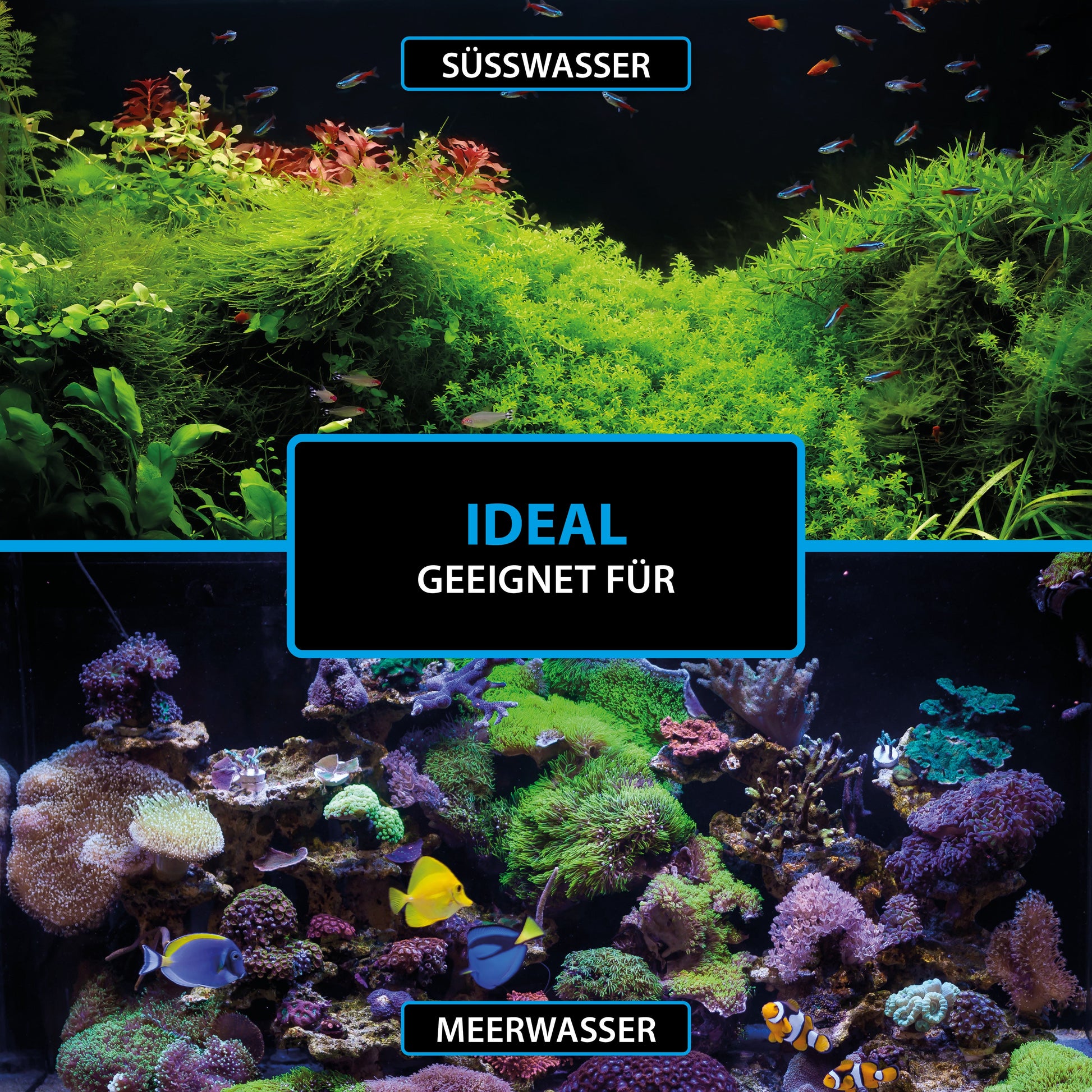 Aquarium-Wasseraufbereitung mit ARKA Bacto Shot
