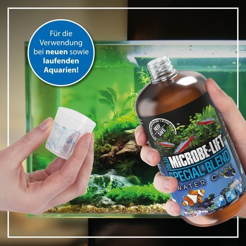 Special Blend fördert Wachstum von Korallen und Pflanzen